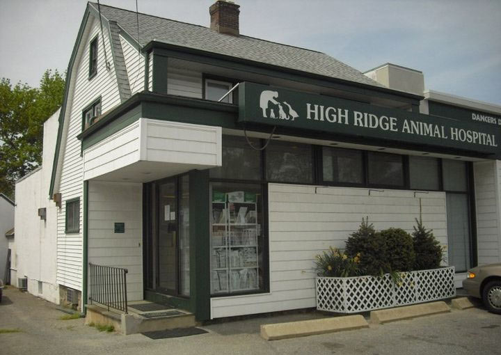 Carousel Slide 4: High Ridge Animal Hospital
